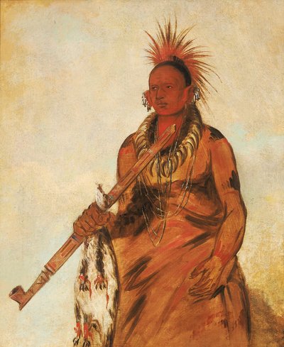  作： George Catlin