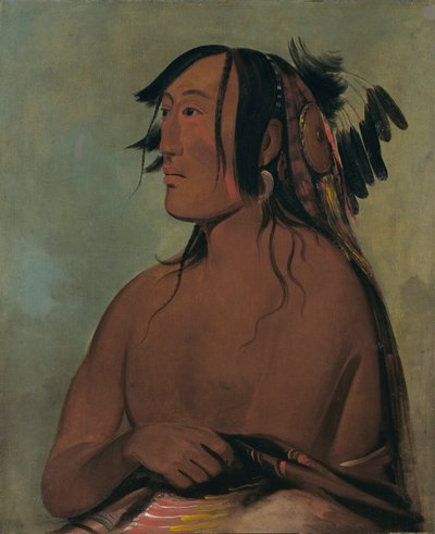 パ・リス・カ・ロー・パ、二羽のカラス、若い方 作： George Catlin