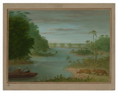 ポン デ パルミエとタイガー シューティング 作： George Catlin