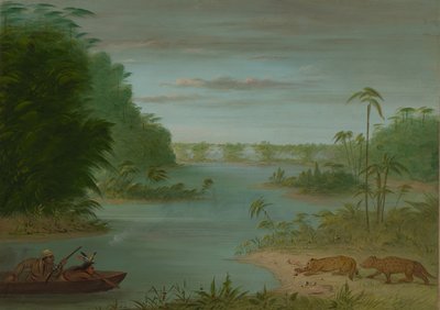 ポン・ド・パルミエとタイガー・シューティング、18541869。 作： George Catlin
