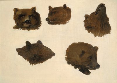 2 頭のハイイログマの肖像画、生涯から、1839 年から 1840 年。 作： George Catlin