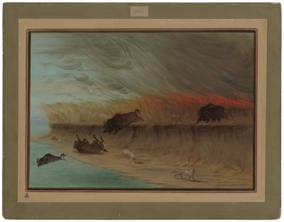 プレーリー メドウズ バーニング 作： George Catlin