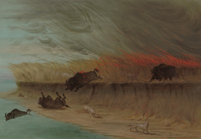 プレーリー メドウズ バーニング、18611869。 作： George Catlin