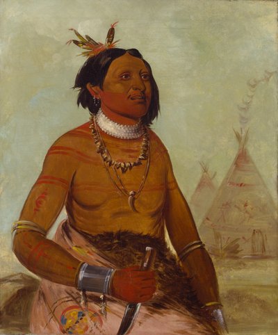 クァイ・ハム・ケイ、ストーン・シェル、勇者 作： George Catlin