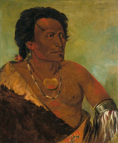 スカイ・セ・ロ・カ、部族の二番目の族長 作： George Catlin