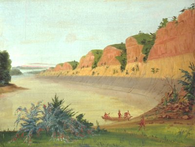 バッファロー・ベリーを前景にバッファロー・アイランドの南側 作： George Catlin
