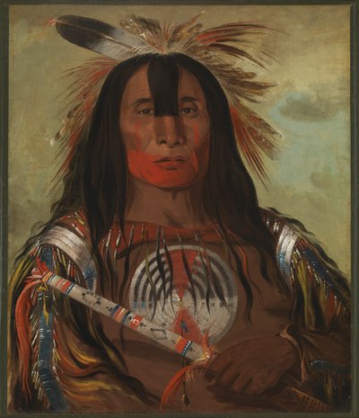ストゥー・ミック・オ・スックス、バッファロー・ブルの背脂、ブラッド・トライブ首長 作： George Catlin