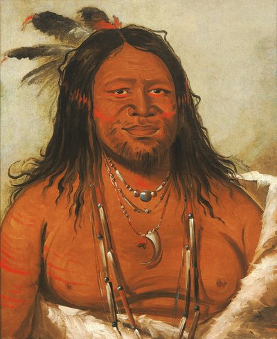タ・ワ・ケ・ナ、岩の山、部族の第二の長 作： George Catlin