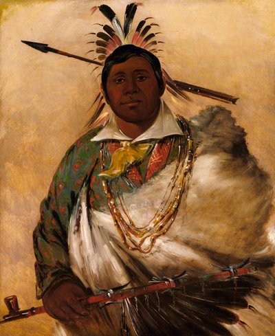 テ・ケ・ネ・ケ、ブラックコート、酋長 作： George Catlin