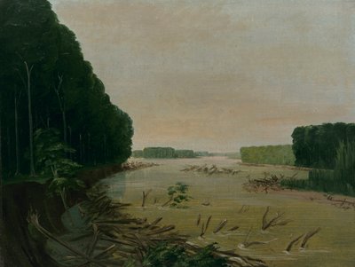 セントルイス上空600マイル、沖積土手の崩落するミズーリ川の眺め 作： George Catlin