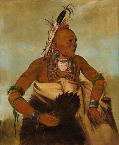 ハンサムな勇者、ワ・ホ・ベック・イー 作： George Catlin