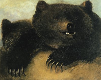 グリズリーの武器と人相 作： George Catlin