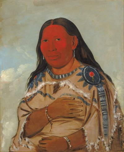 二羽の烏の妻 作： George Catlin