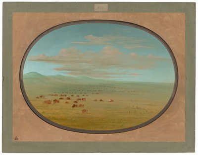 パンパ デル サクラメントの野生の牛の放牧 作： George Catlin
