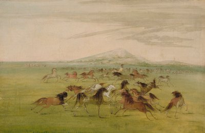 野生馬の遊び 作： ジョージ・カトリン