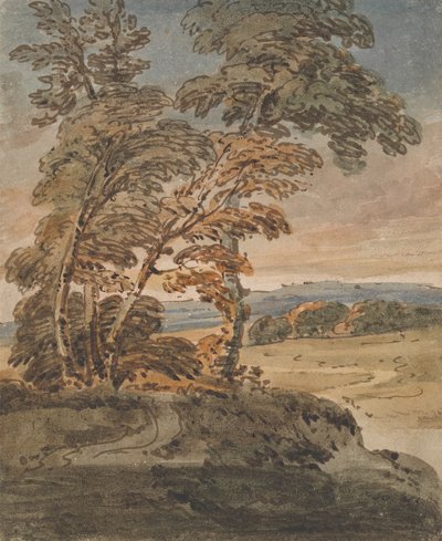 丘の中腹の小道の木々 作： George Chinnery