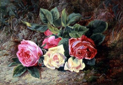 バラ、1865年（油） 作： George Clare