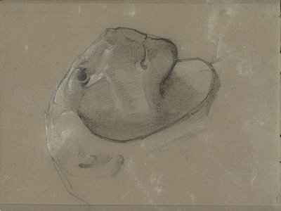 おそらく彫刻の後のライオンの頭 作： George Clausen