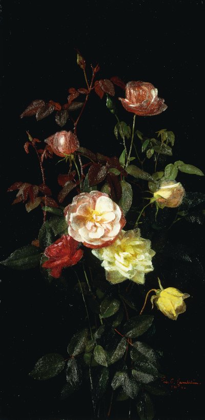 バラ、1878 作： George Cochran Lambdin