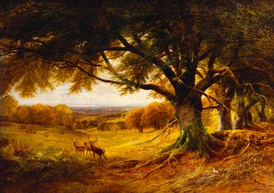 スピットヘッド、アップパーク、サセックス、1868 作： George Cole