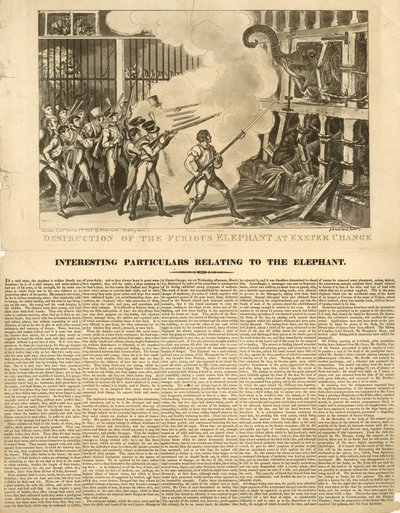 エクセターチェンジで激怒する象を破壊 作： George Cruikshank