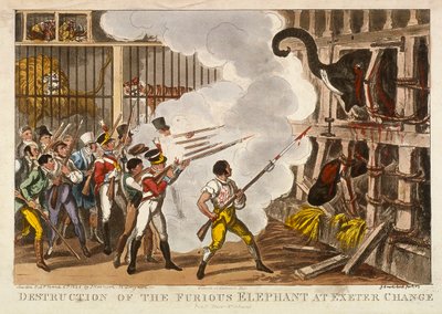 「エクセターチェンジでの猛烈な象の破壊」、1826 作： George Cruikshank