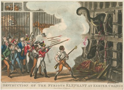 1826年のエクセターチェンジでの猛烈な象の破壊 作： George Cruikshank