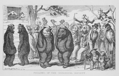 フェロー・オブ・ザ・ゾロジカル・ソサエティ（彫刻 作： George Cruikshank