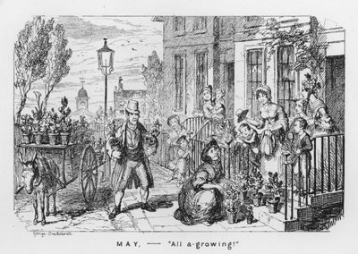 メイ、オール・ア・グローイング（刻印 作： George Cruikshank