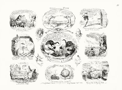 オッドフィッシュ（彫刻 作： George Cruikshank