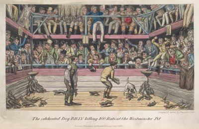 ピアース・イーガンによる、殺されるネズミ、「ロンドンでの生活など」 作： George Cruikshank