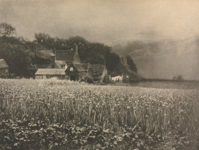 カメラワーク: タマネギ畑 - 1890 作： George Davison