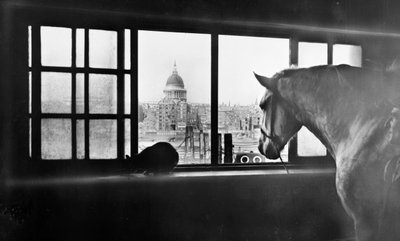 高層の厩舎からセント ポール大聖堂を見下ろす馬、ロンドン、1920 年代 作： George Davison Reid