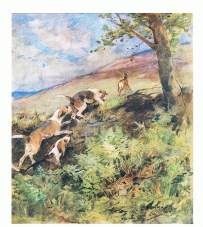 年老いた雄鹿がラスティのベッドに横たわり、若い鹿が猟犬を追いかけて出発する間 (色リソ) 作： George Denholm Armour