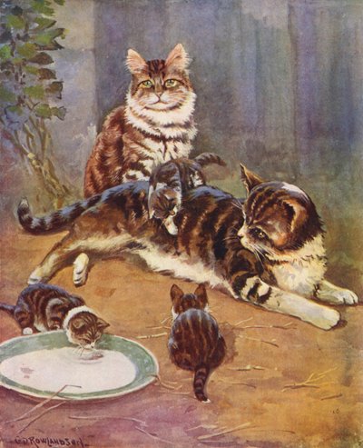 ネルは美しいタビーだった（カラーリトグラフ） 作： George Derville (after) Rowlandson