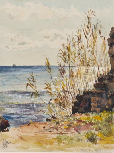 1878年1月10日、サンレモで地中海を見渡す（紙とガッシュの紙） 作： George Douglas Tinling