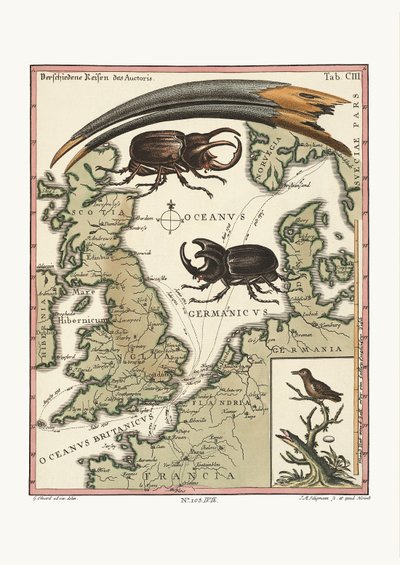 イービスアイビス法案と最少のハチドリ、1749-73 作： George Edwards