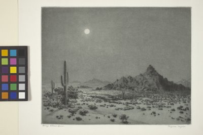 アリゾナの夜 作： George Elbert Burr