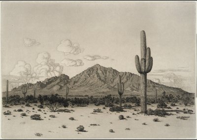  作： George Elbert Burr