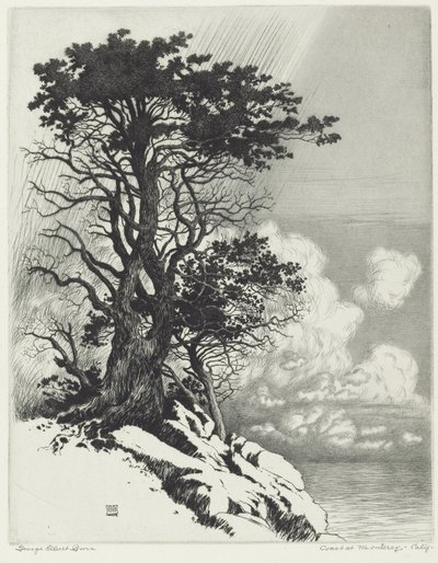 カリフォルニア州モントレーの海岸 作： George Elbert Burr