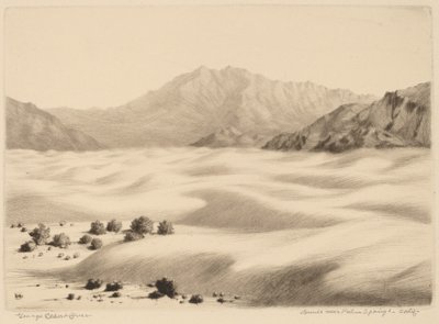 カリフォルニア州パーム スプリングス近くの砂丘 (第 2 位) 作： George Elbert Burr