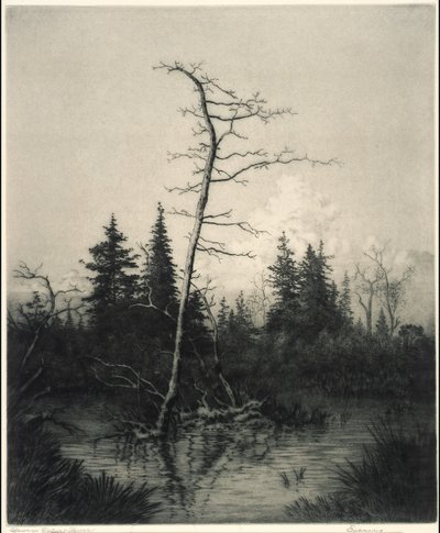 夕刻 作： George Elbert Burr