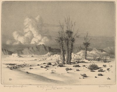 夕方、アリゾナ 作： George Elbert Burr
