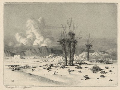 夕方、アリゾナ 作： George Elbert Burr