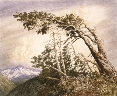 風の故郷 [No.］ 作： George Elbert Burr