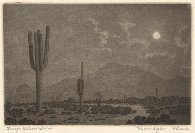 ムーンライト-フェニックス 作： George Elbert Burr