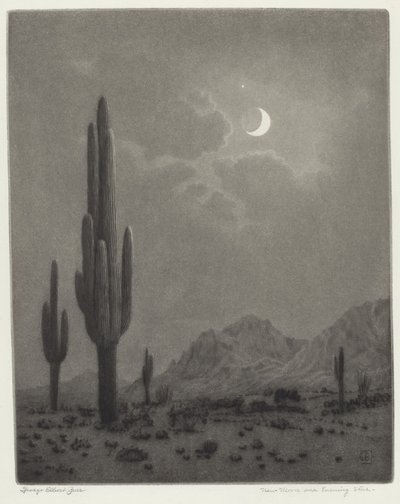 新月と宵の明星 作： George Elbert Burr