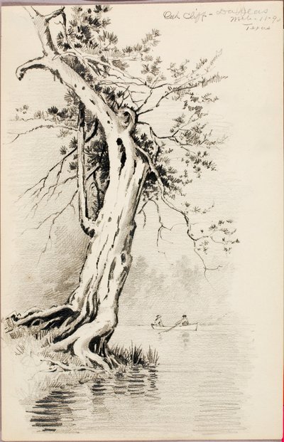 オーククリフ--ダラス 作： George Elbert Burr