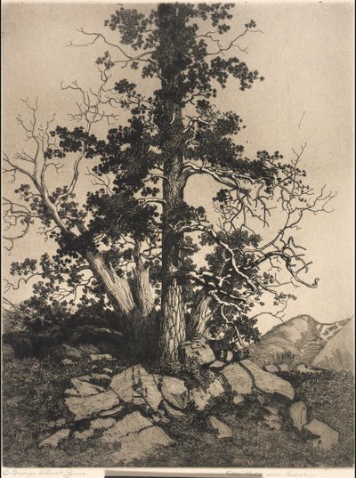  作： George Elbert Burr