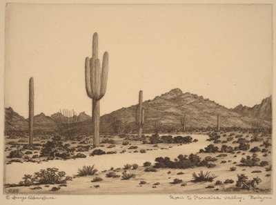  作： George Elbert Burr